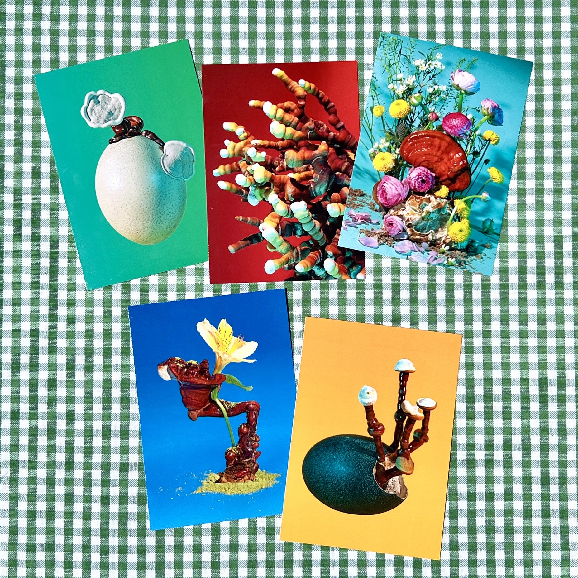 postcard pack 2.jpg
