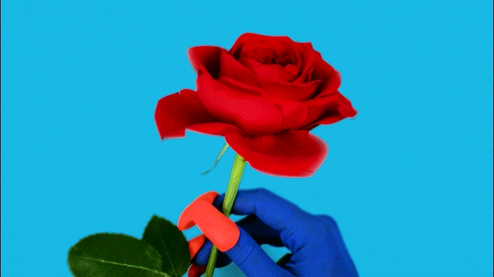 hand-rose.gif