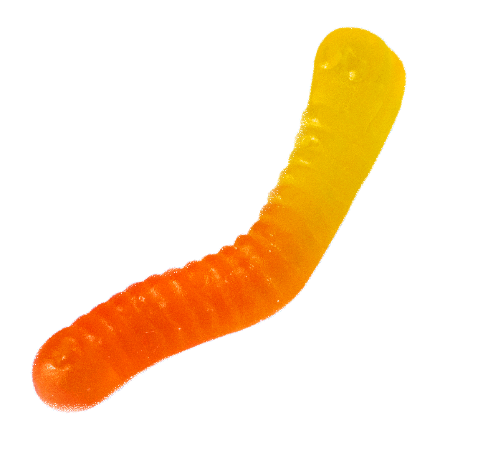 sticker-yellow-orange-worm.gif