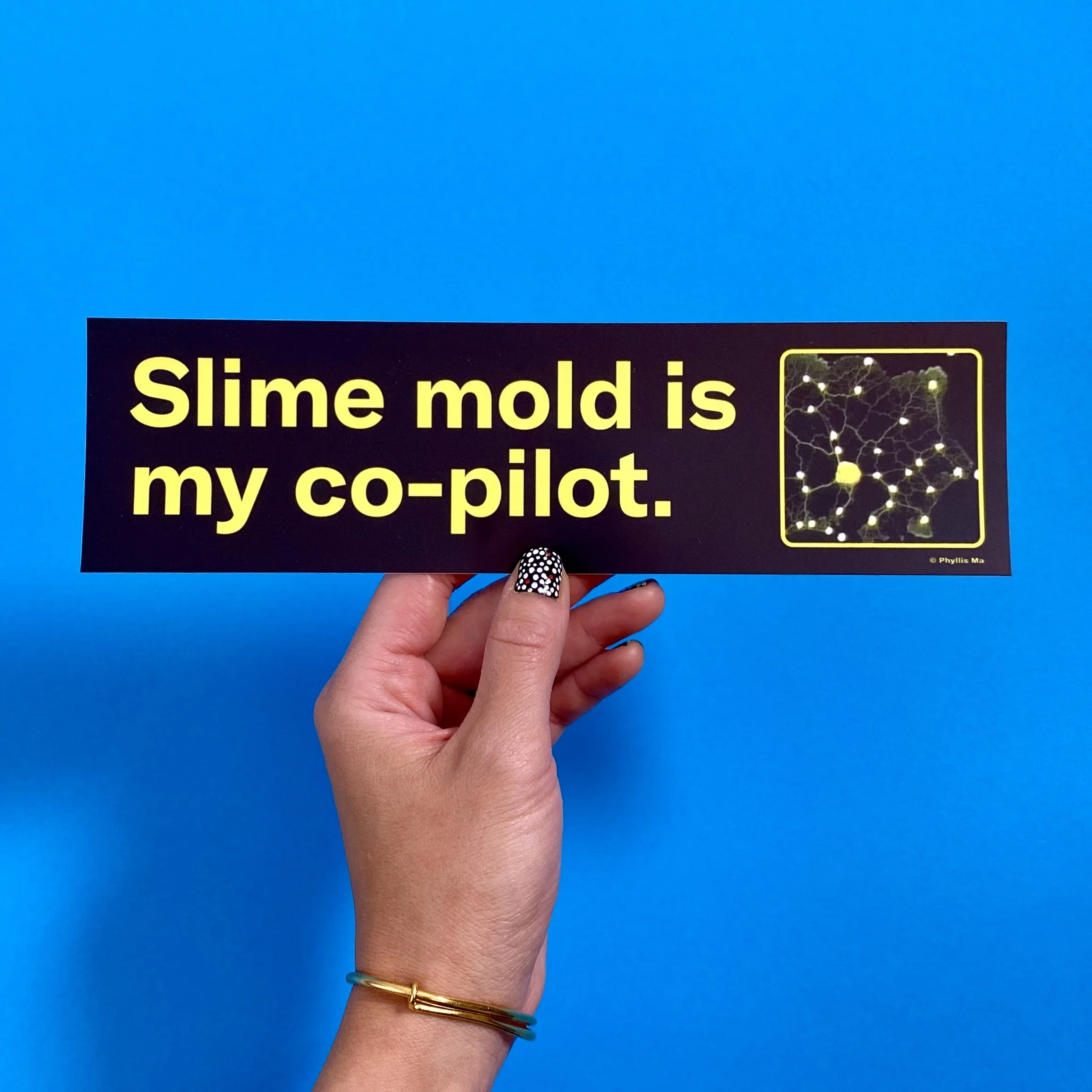 slime mold bumper 2.jpg
