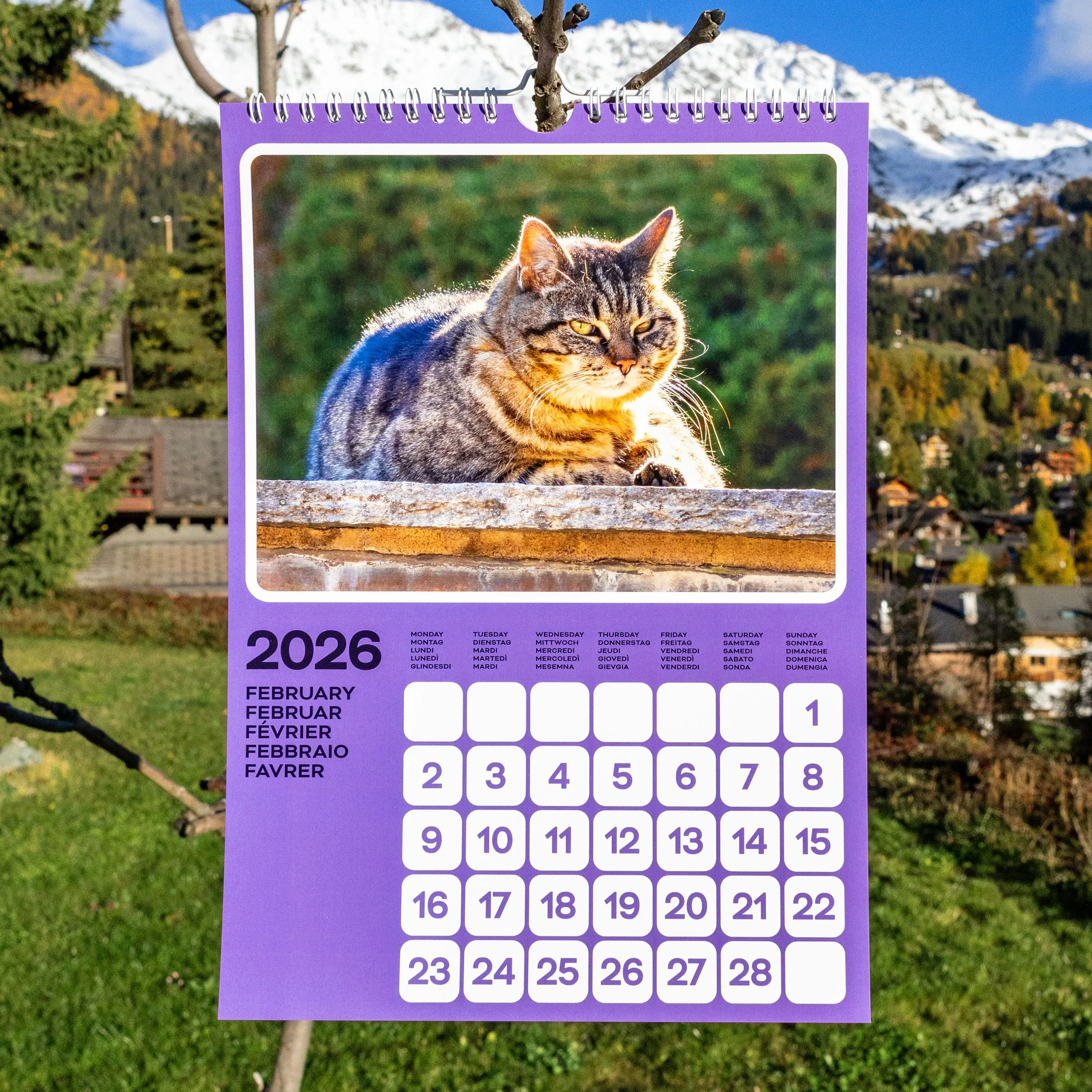 catlendar_1x1_02.jpg