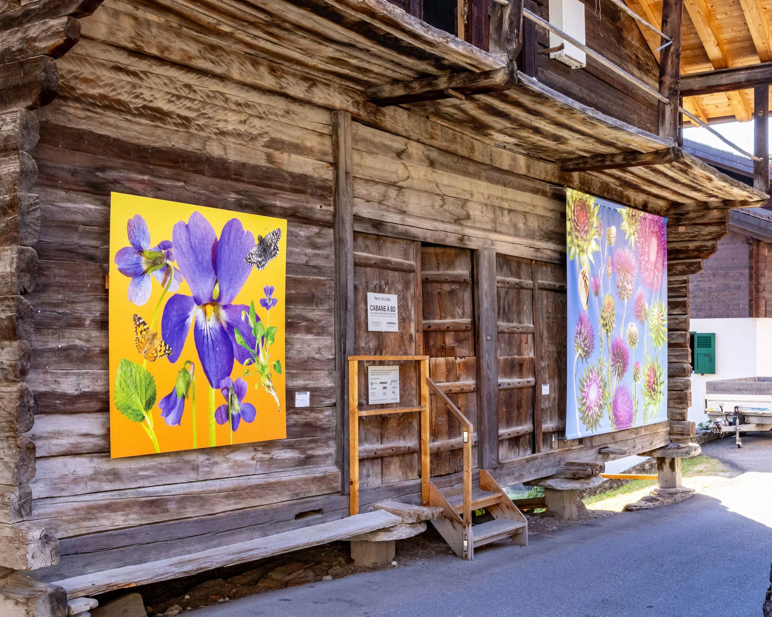 Outdoor photo exhibition of botanical collages by artist Phyllis Ma in the village of Bruson, Switzerland. Colorful images feature flowers of the Swiss Alps found in the Valais region.