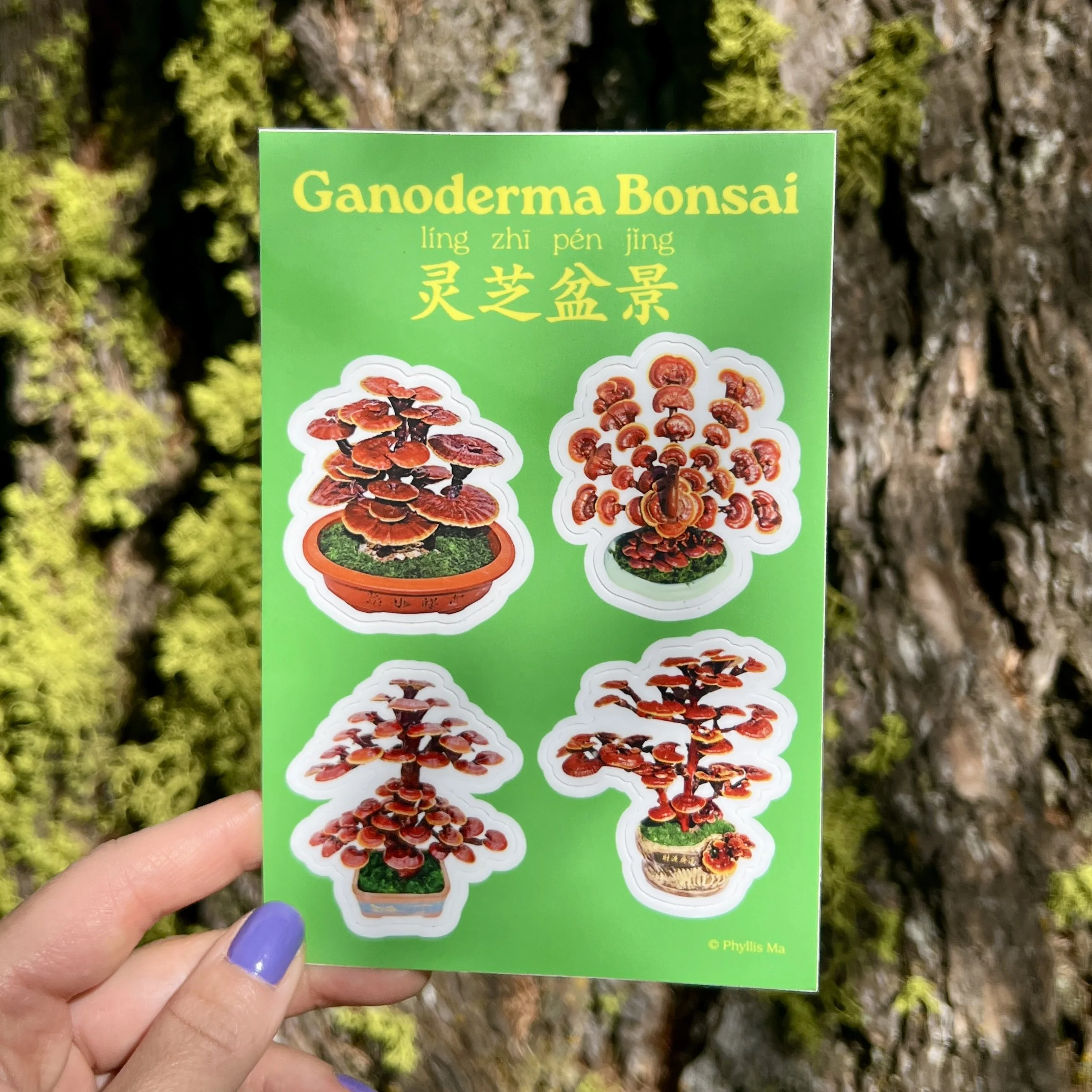 sticker sheet_bonsai.jpg