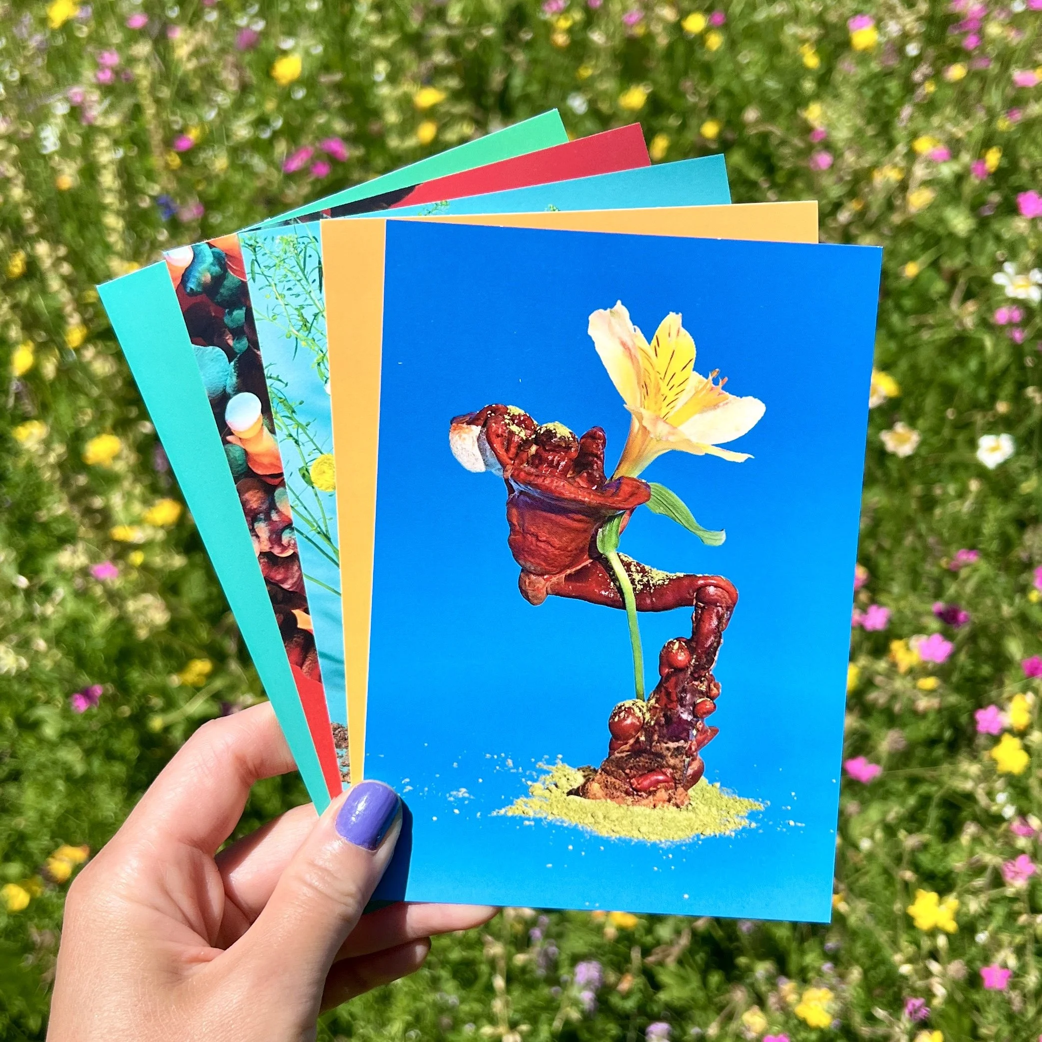 postcard pack 1.jpg