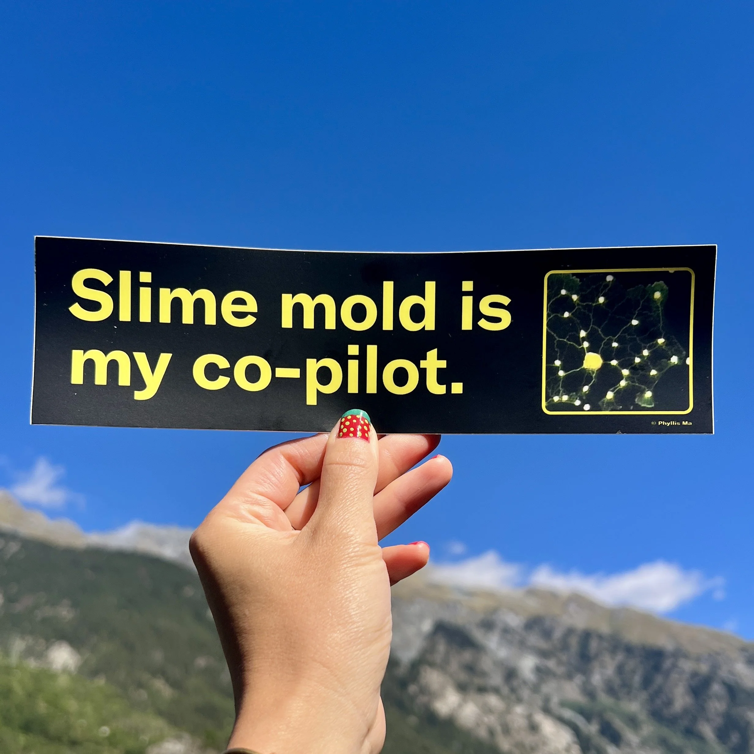 slime mold.jpg