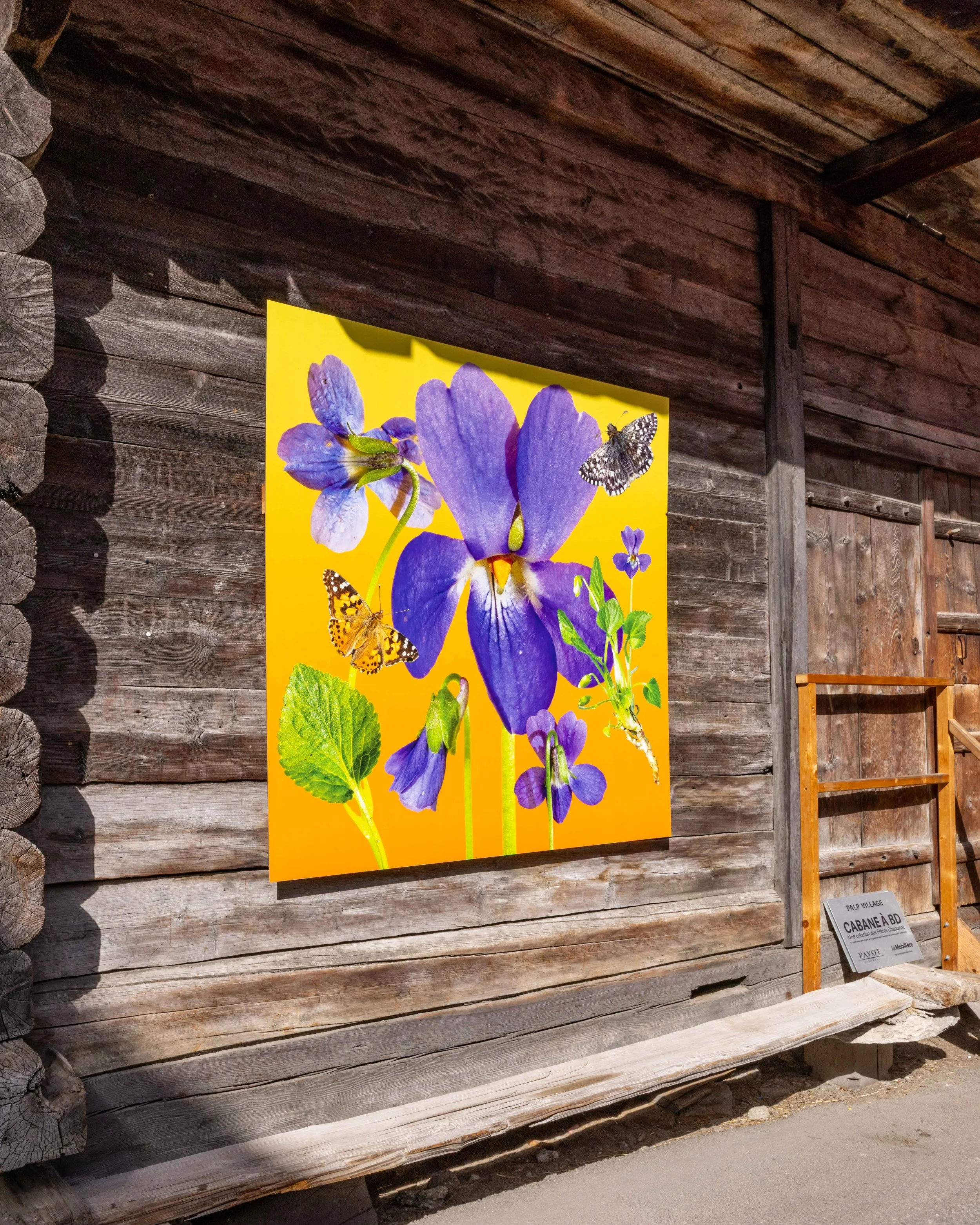 Outdoor photo exhibition of botanical collages by artist Phyllis Ma in the village of Bruson, Switzerland. Colorful images feature flowers of the Swiss Alps found in the Valais region.