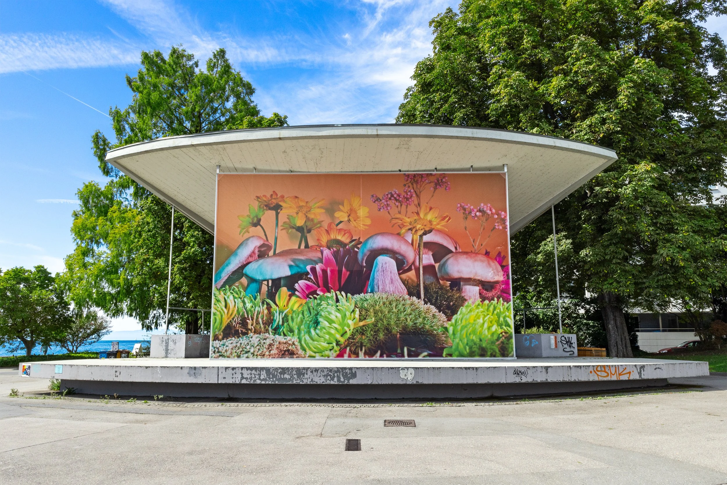 Images Vevey_stage-2_LR.jpg