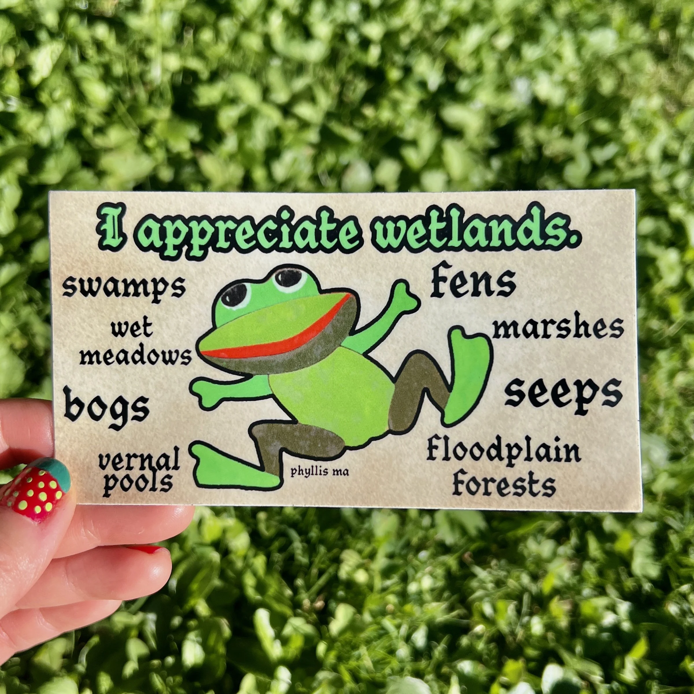 wetlands.jpg