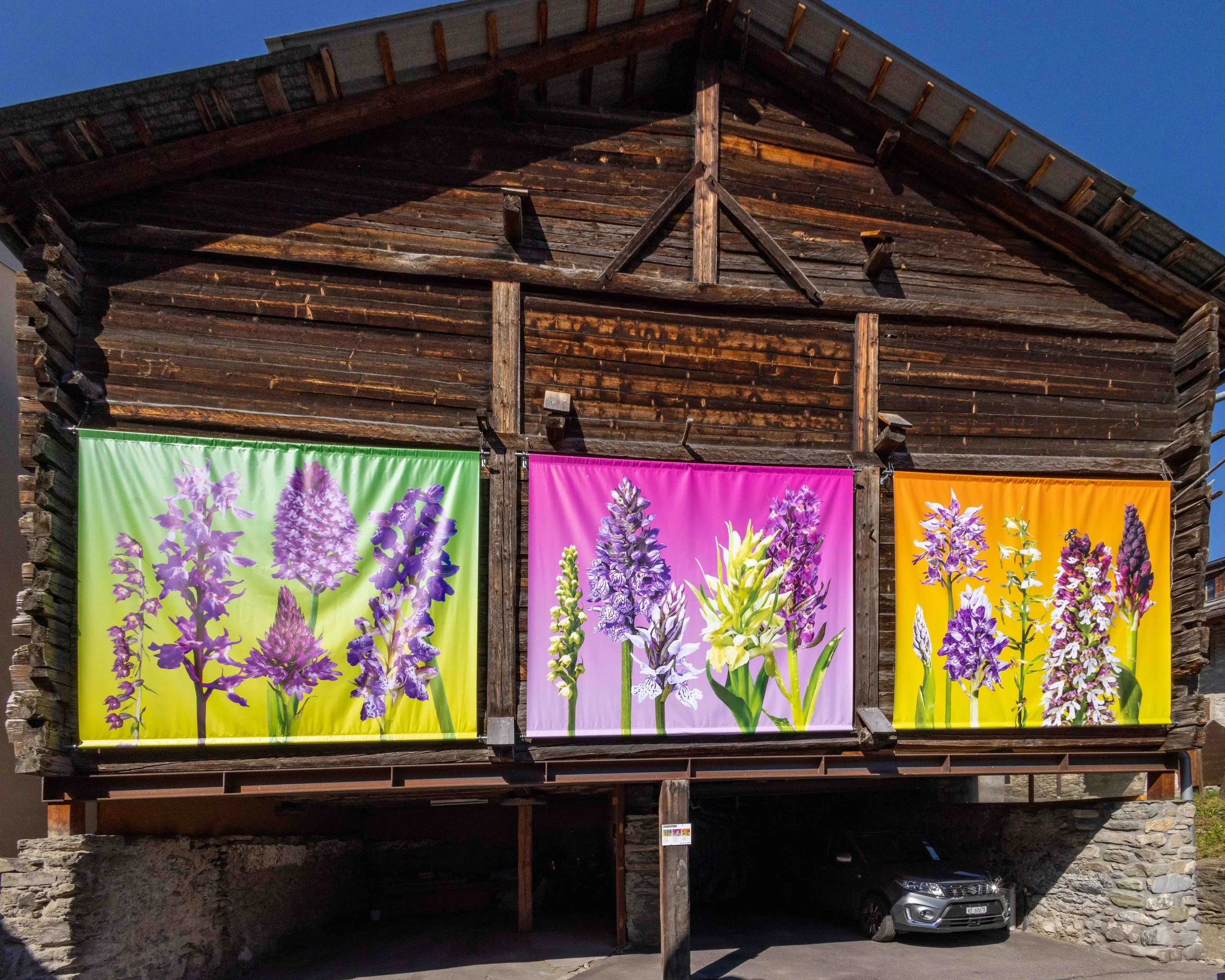 Outdoor photo exhibition of botanical collages by artist Phyllis Ma in the village of Bruson, Switzerland. Colorful images feature flowers of the Swiss Alps found in the Valais region.