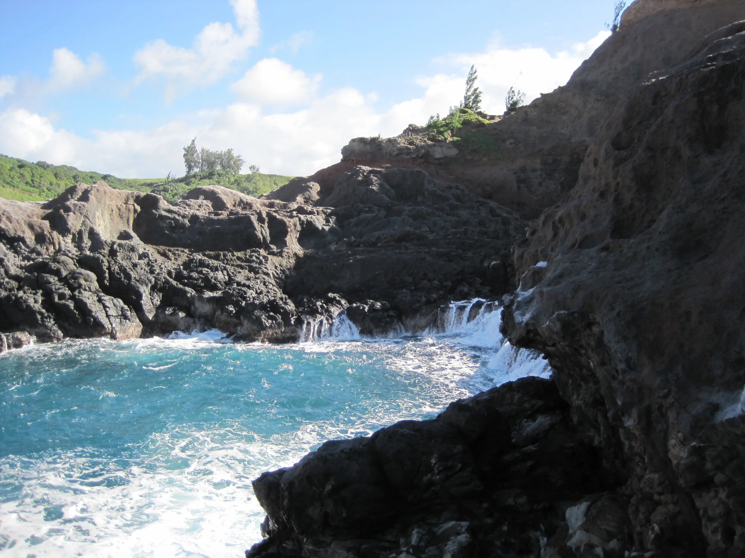 January 3, 2011 006.jpg