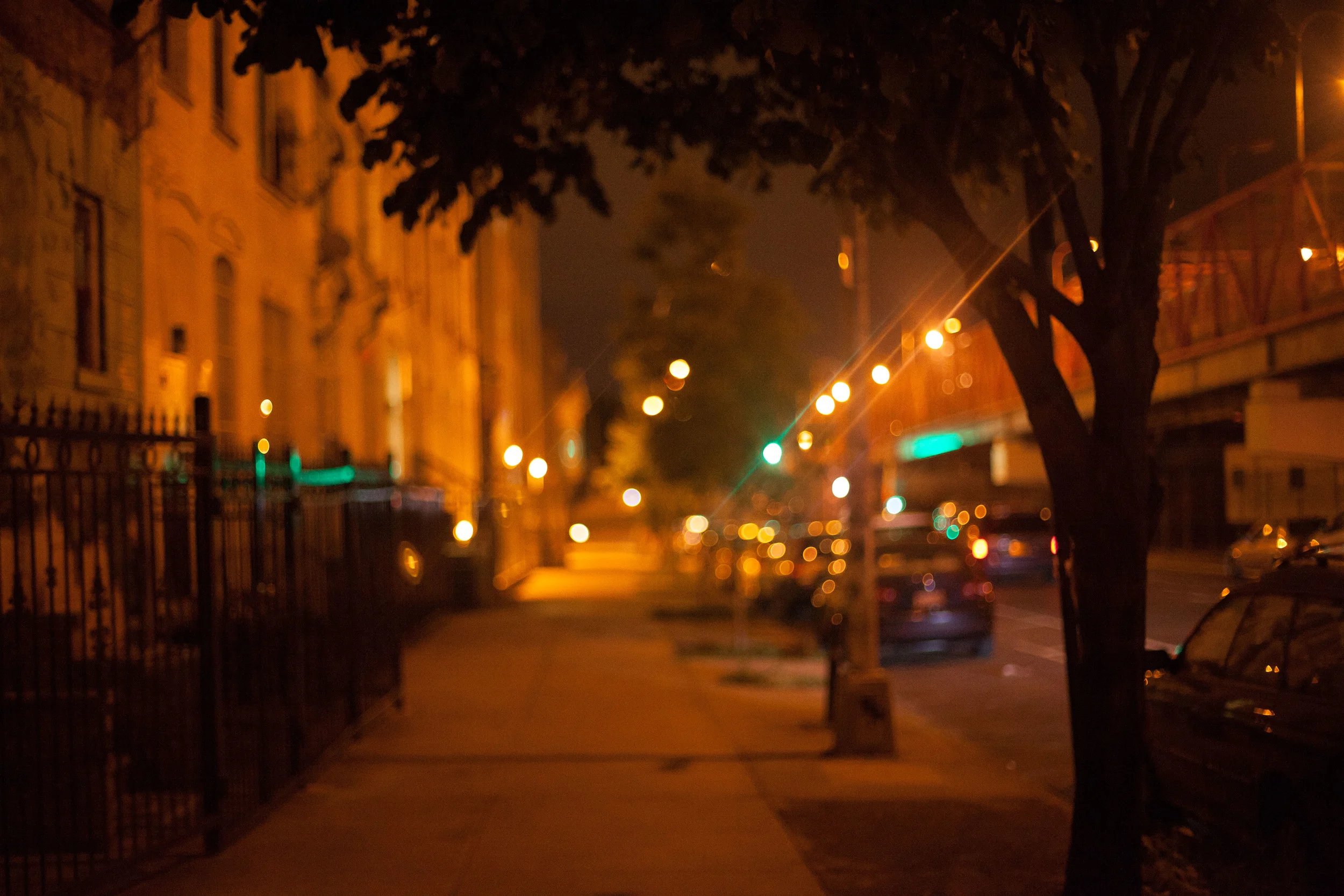 _MG_5493.jpg