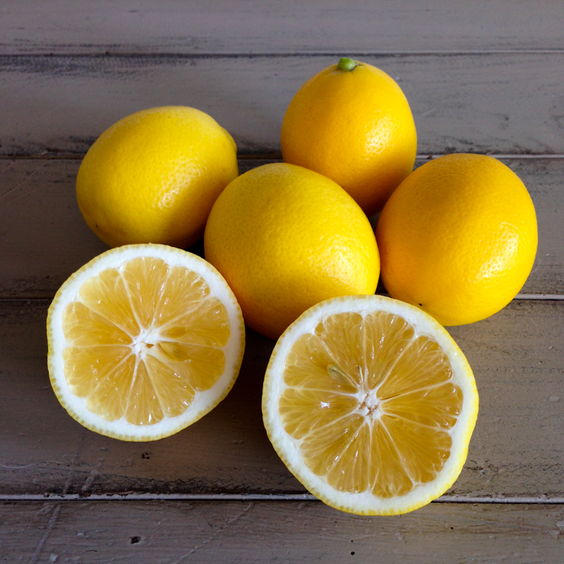 Organic Meyer Lemons Fairview Orchards organic-meyer-lemons-fairview-orchards