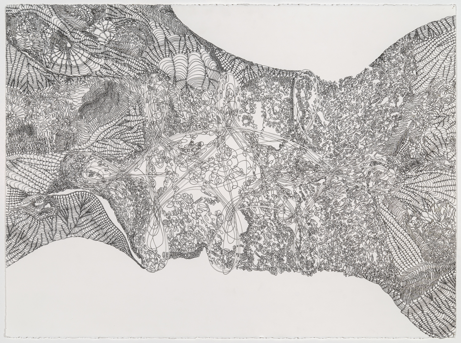 Within Bounds, ink on paper, 30 x 22.5 inches, 2015