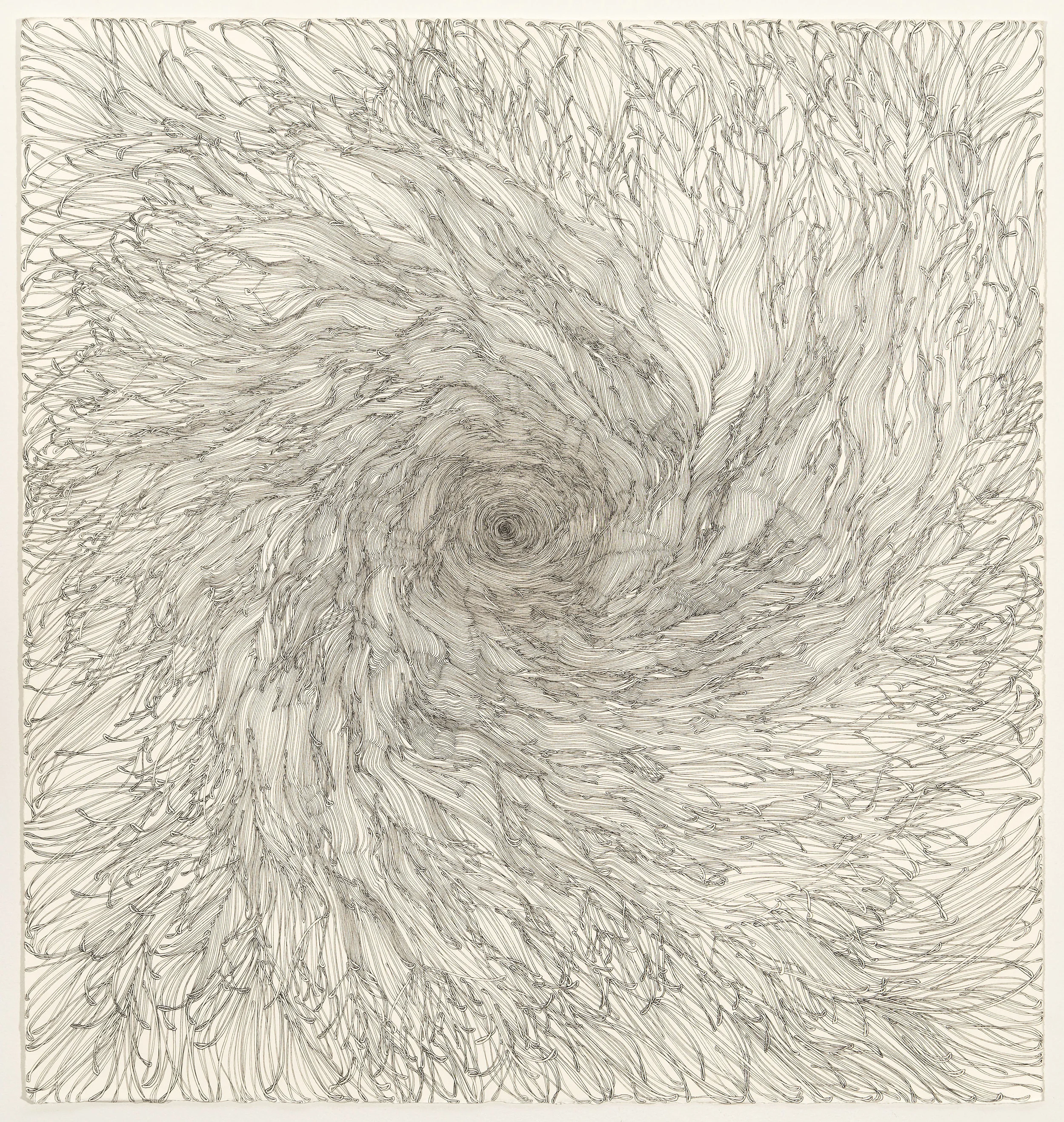 Love Vortex, ink on paper, 20" x 20"