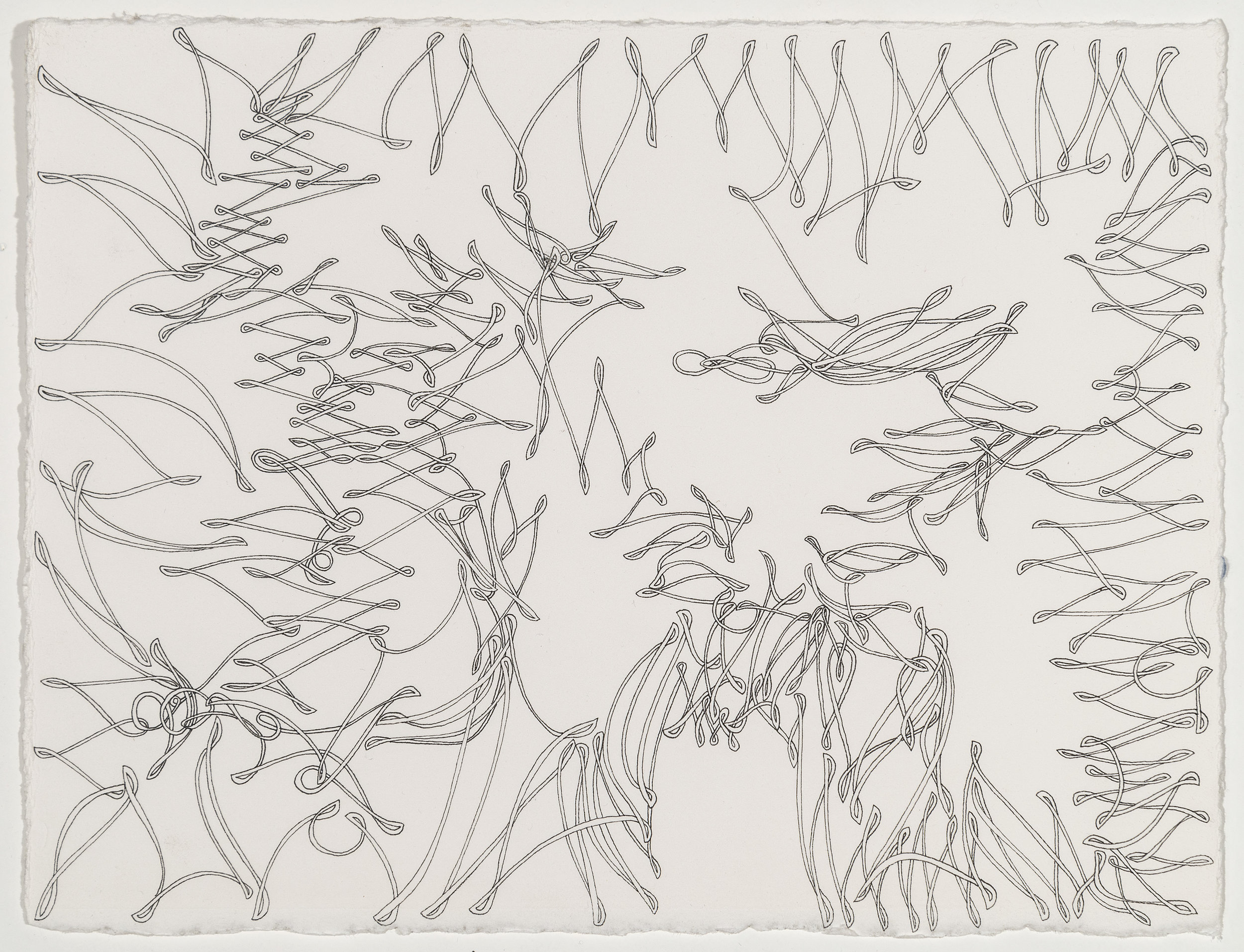 Social Butterflies, ink on paper, 15” x 11.25”, 2019