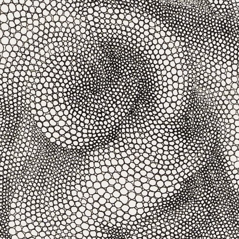 Pre-Cogitation, detail