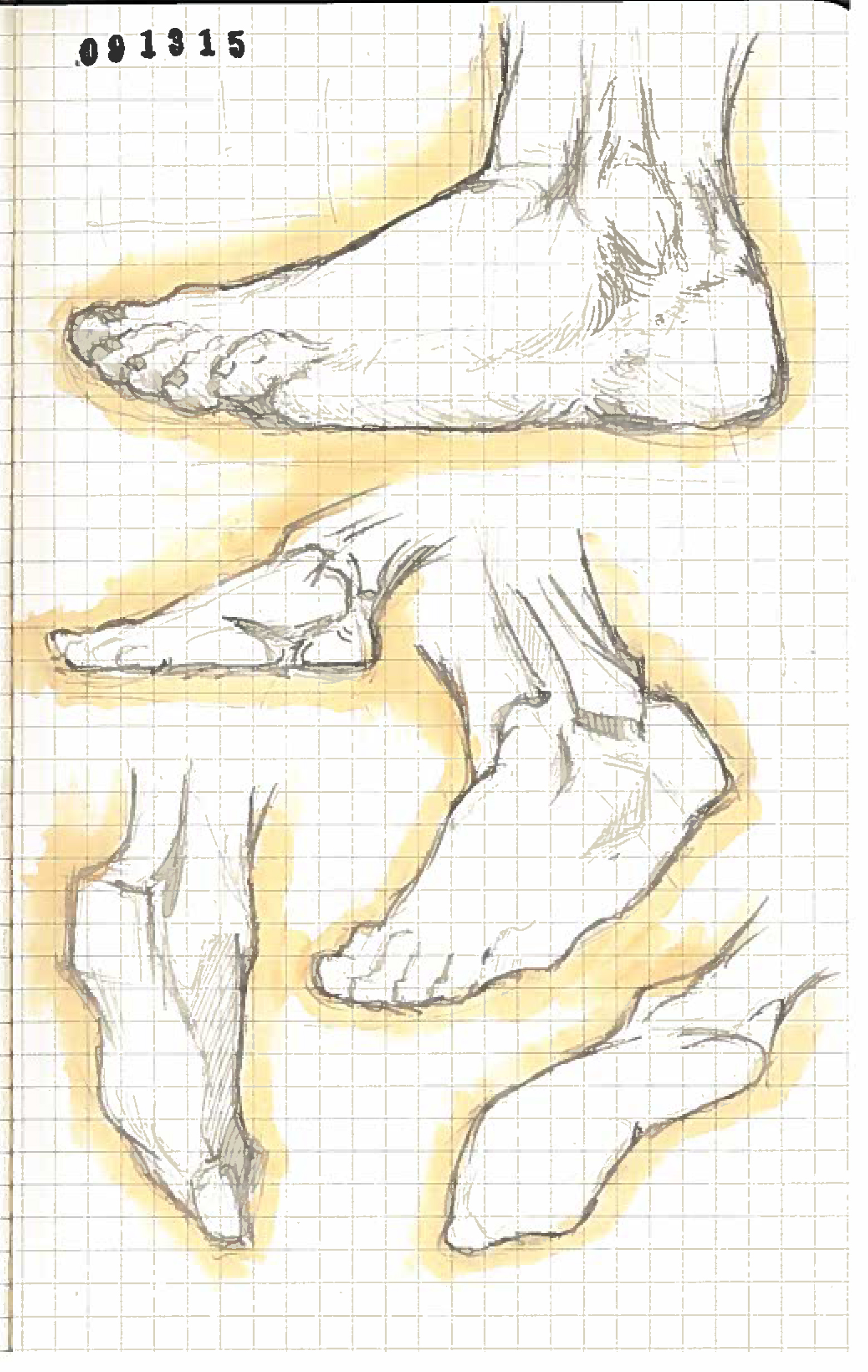 Feet 1.jpg