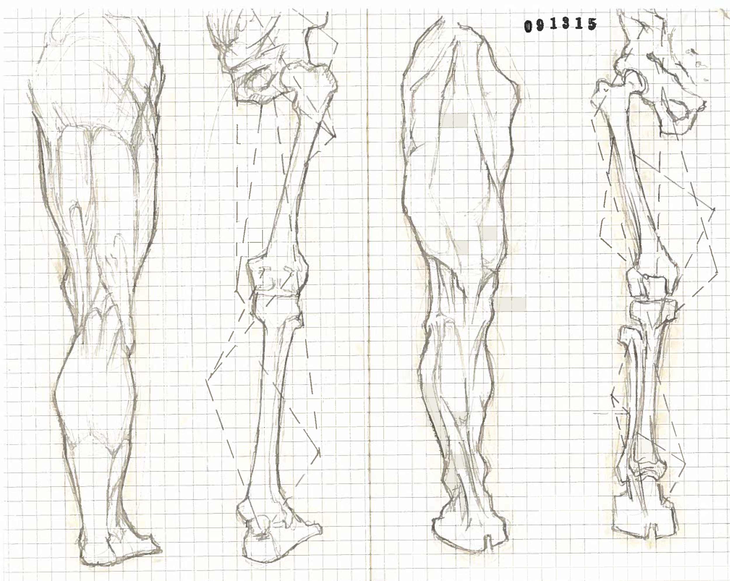 Legs 1.jpg