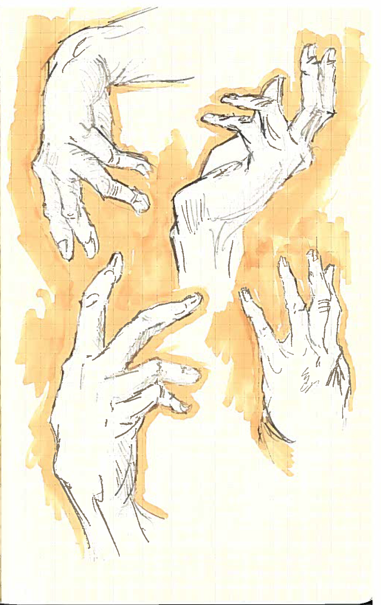 Hands 8.jpg