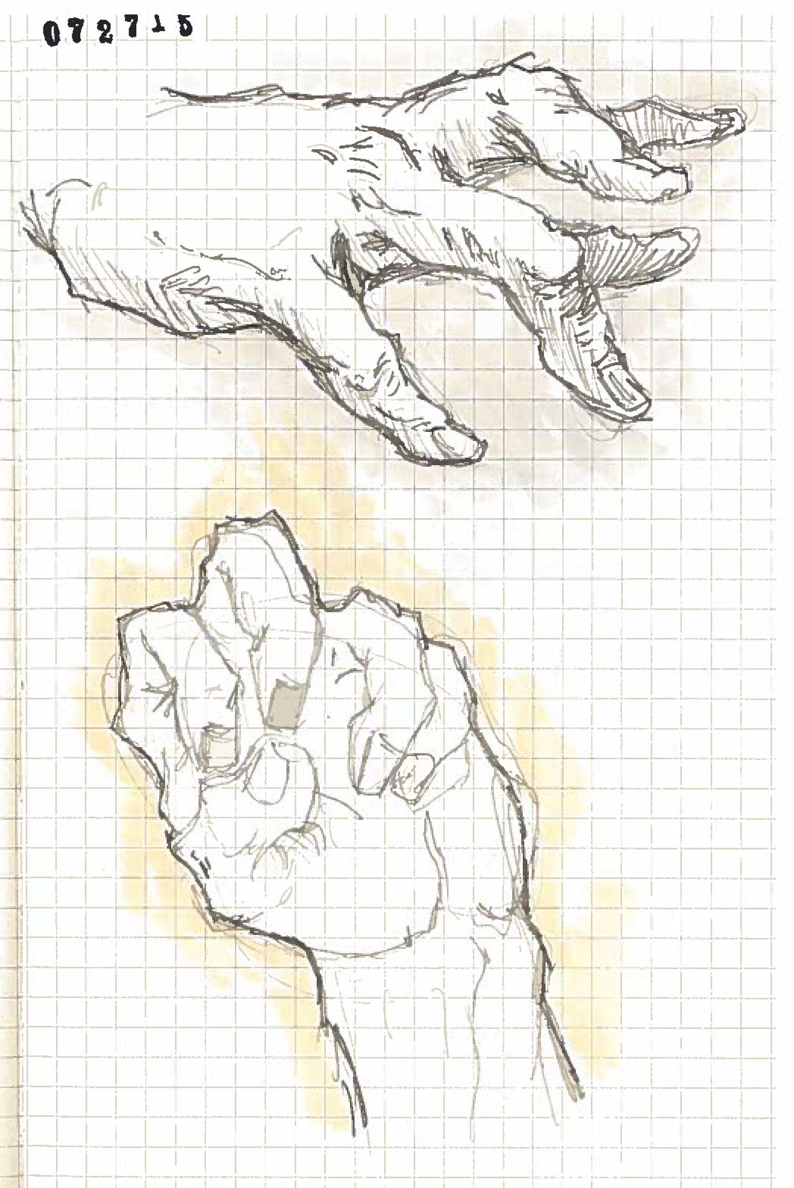 Hands 22.jpg