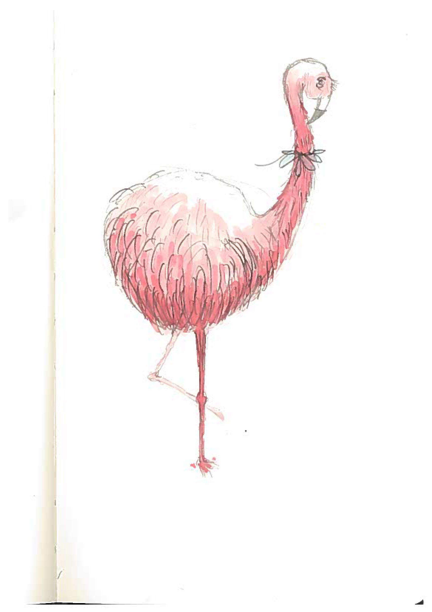 Flamingo_R1.jpg