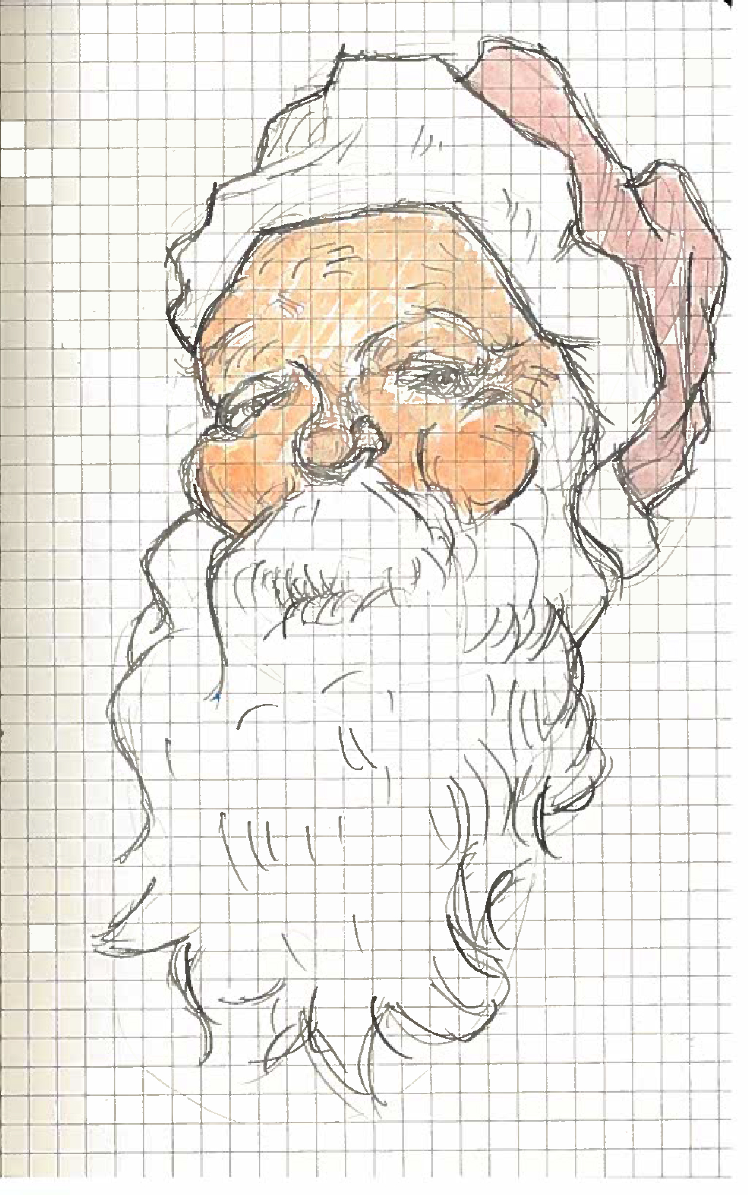 Santa Portrait.jpg