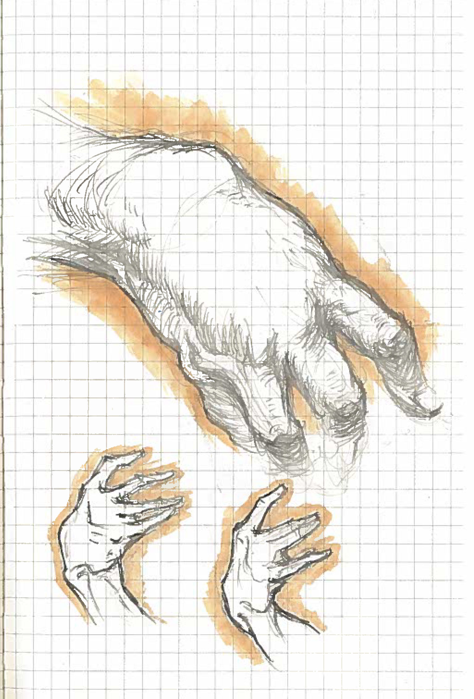 Hands 1_2016.jpg