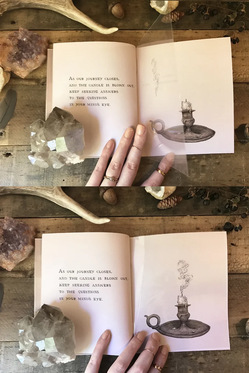 specimens2-jessicaroux-image2.jpg