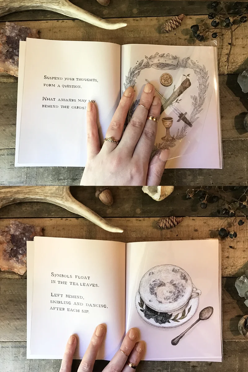 Specimens, Collections and Curiosities II Zine — Jessica Roux Illustration