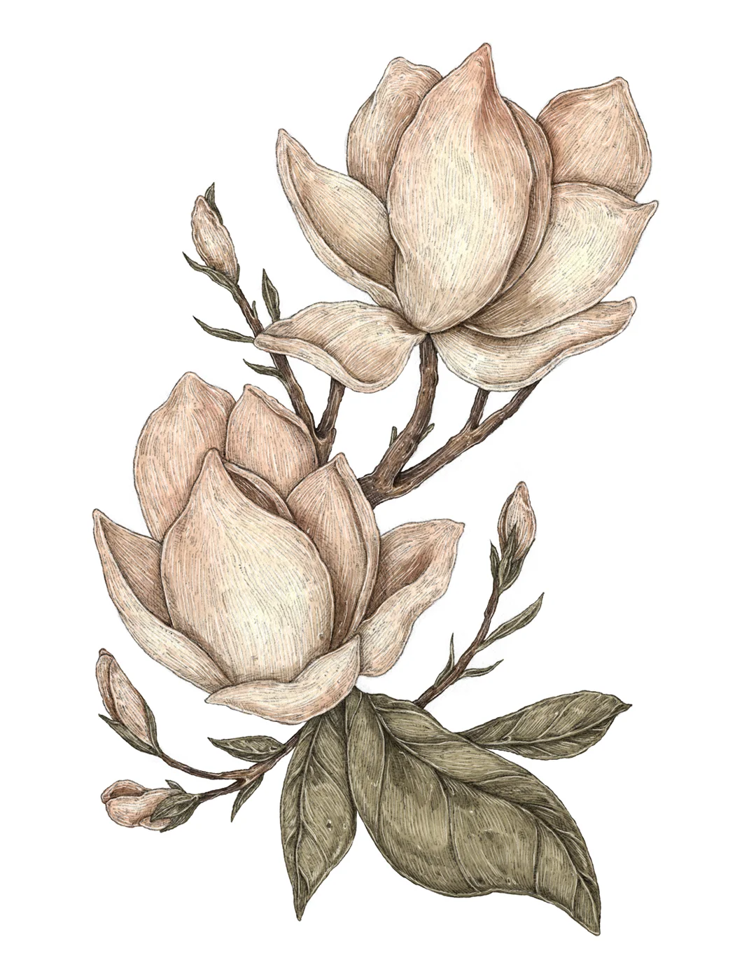 floral-forig2.jpg