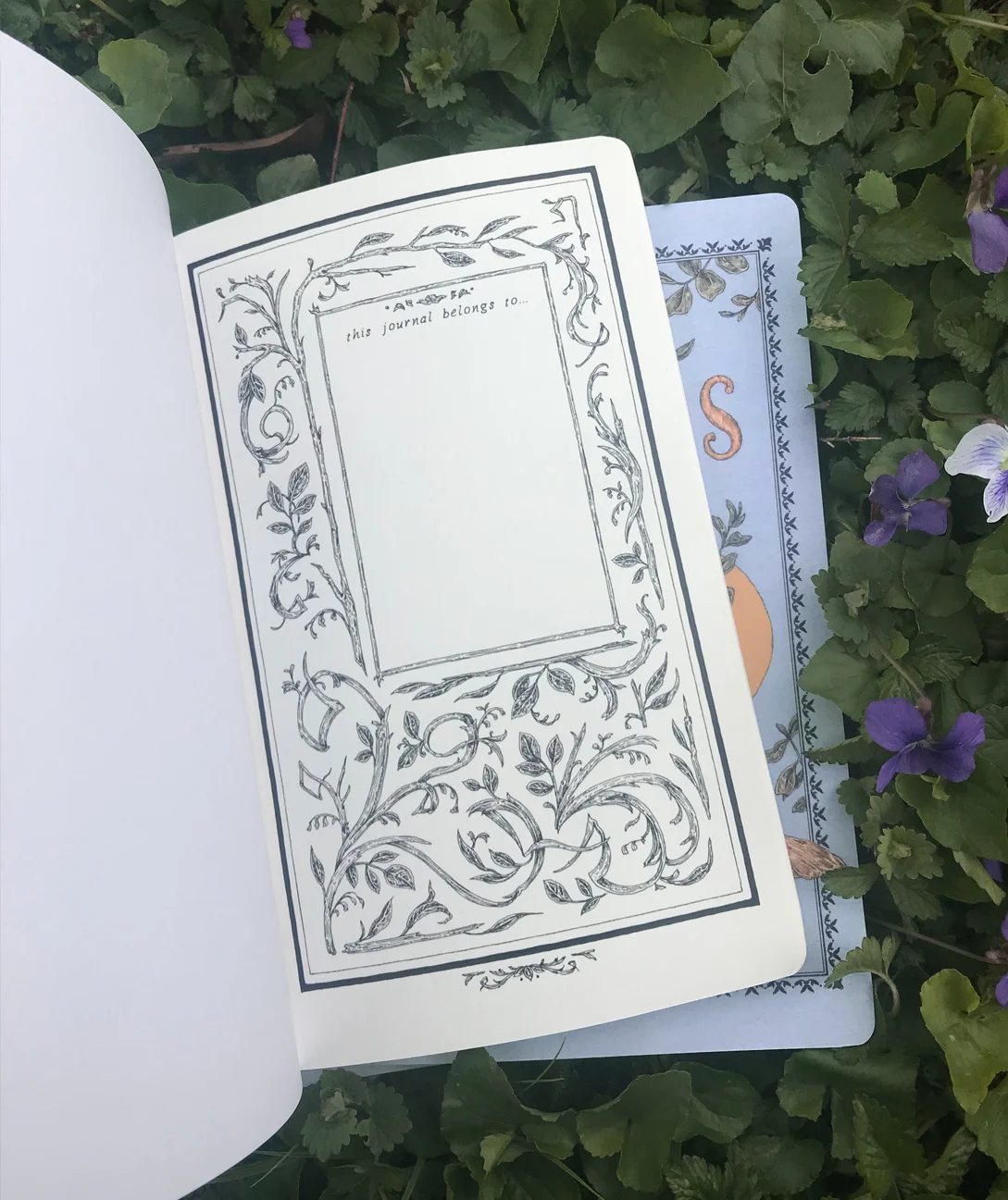 Notebook — Jessica Roux Illustration