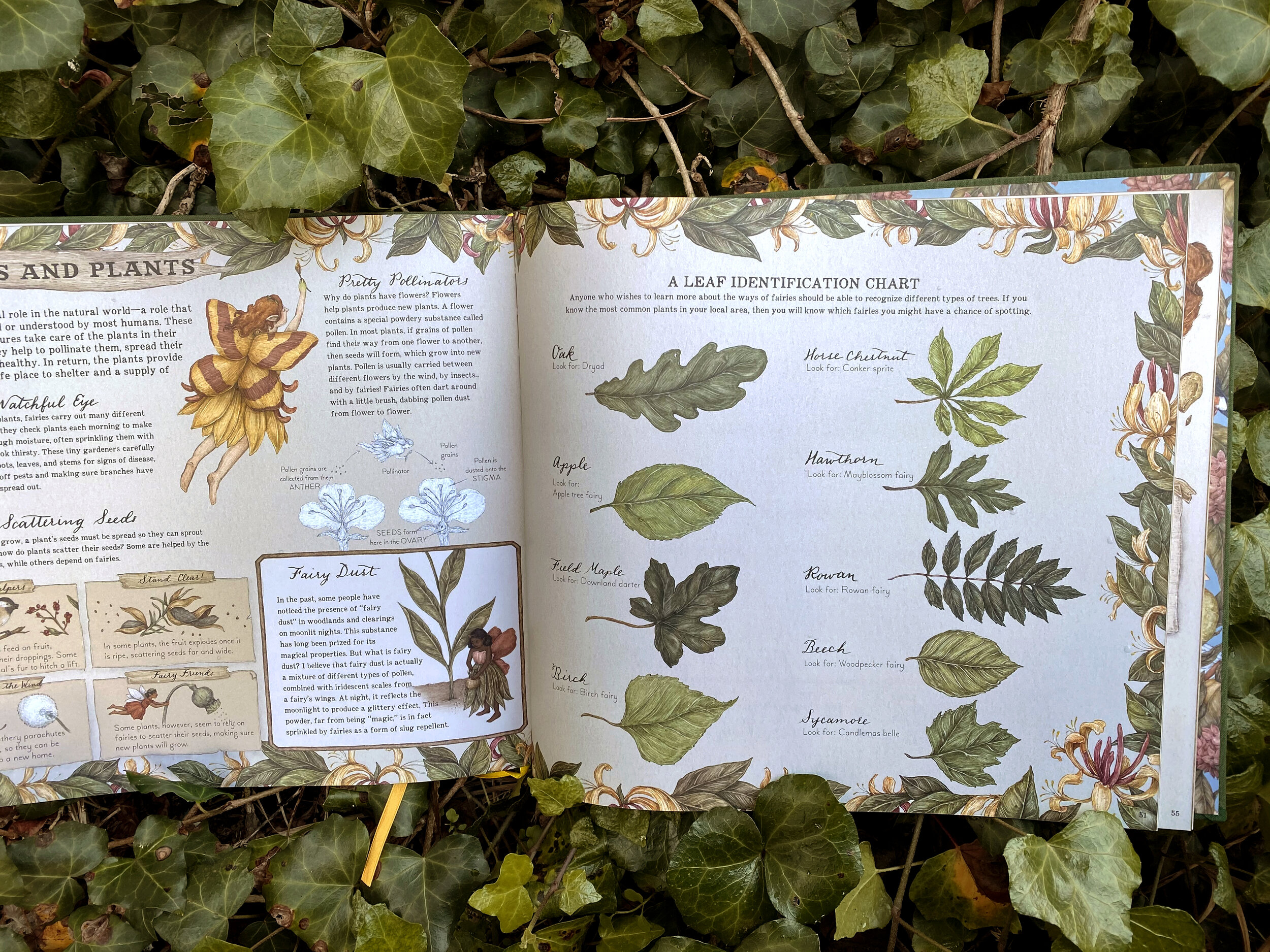 History And Types Of Fairies