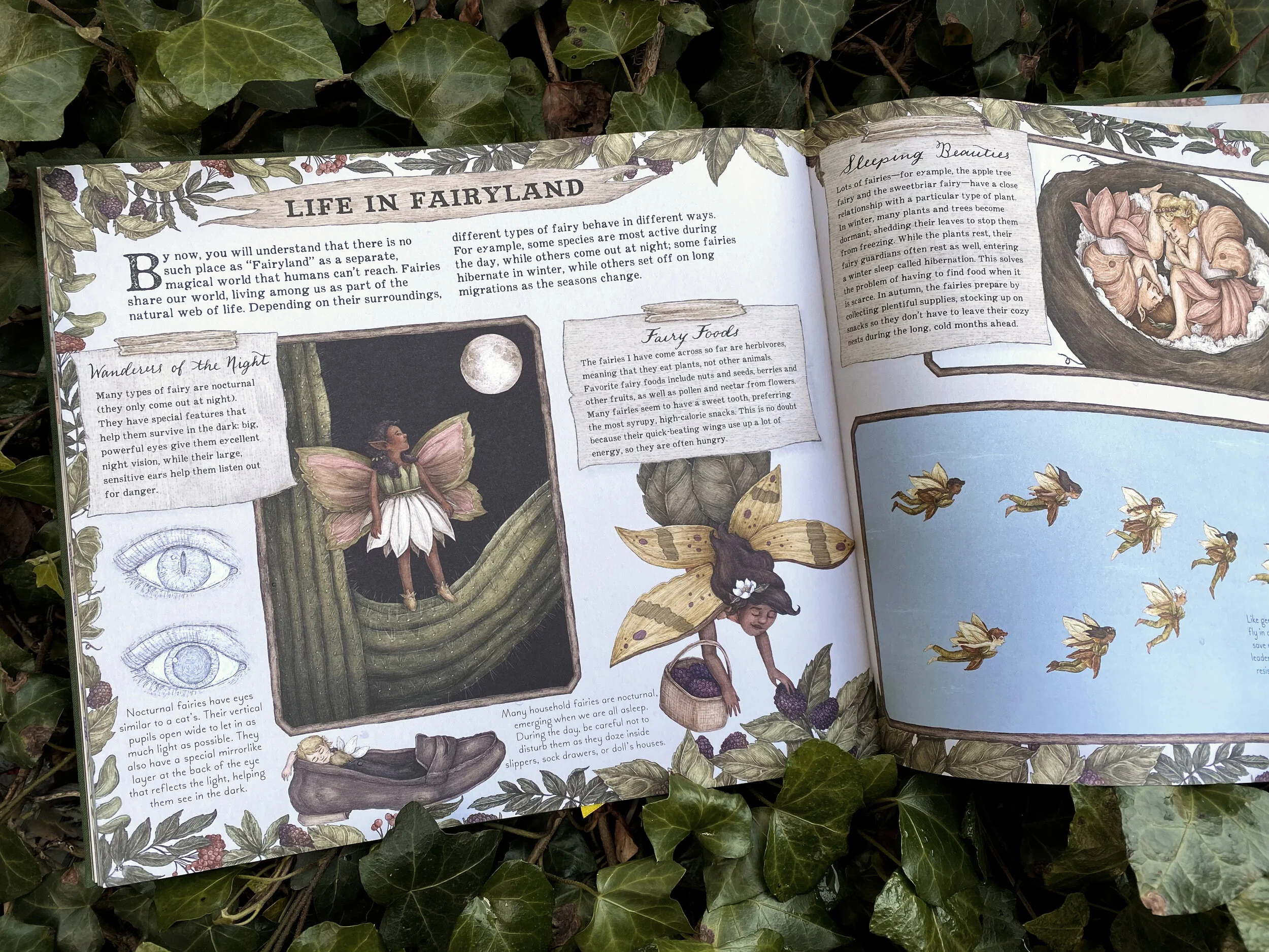 History And Types Of Fairies