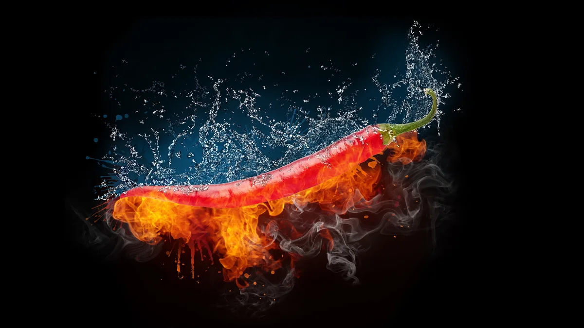 New Zealand Hot Sauce Festival and National Chilli Eating Finals!