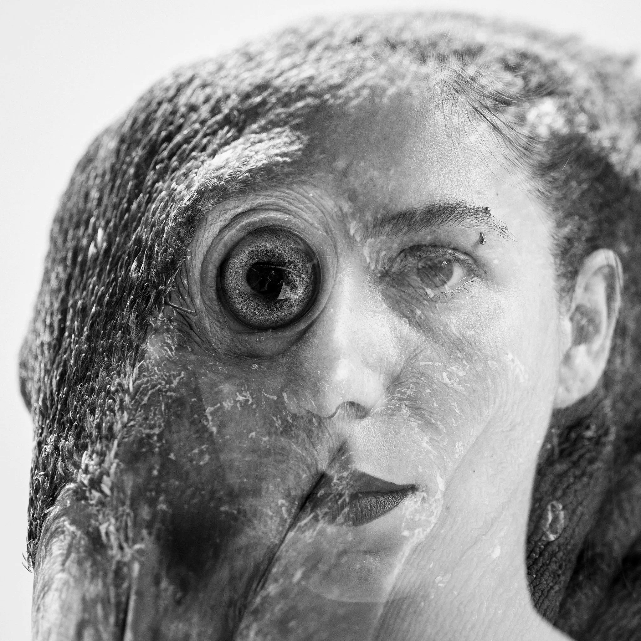 Black and white surreal image of a woman with a human face and a fish face, featuring a large fish eye overlaying the woman's eye.