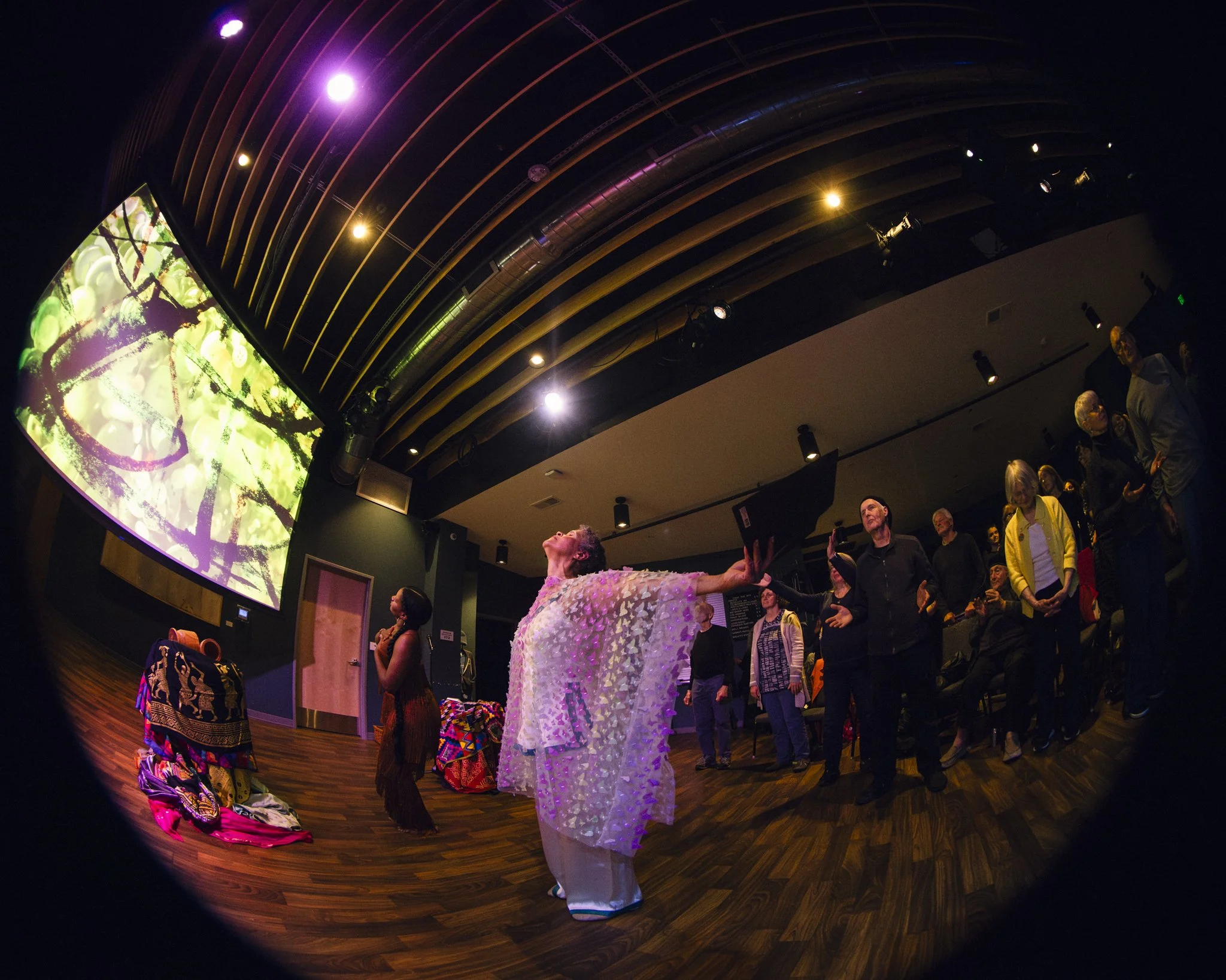 A group of diverse people in a dark room watching a performance on stage. One woman in the center is bowing with arms outstretched, wearing an elaborate dress with floral patterns. Others are standing and observing, some taking pictures. There is a l
