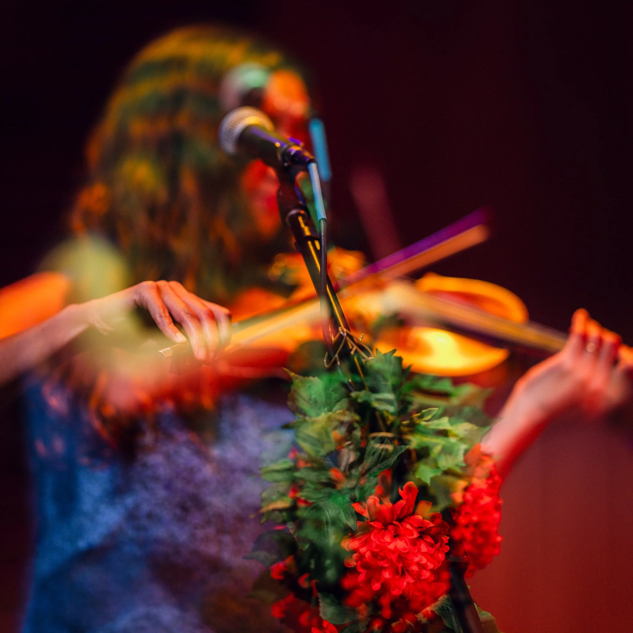 A woman playing a violin decorated with green foliage and red flowers, performing on stage with colorful lighting.