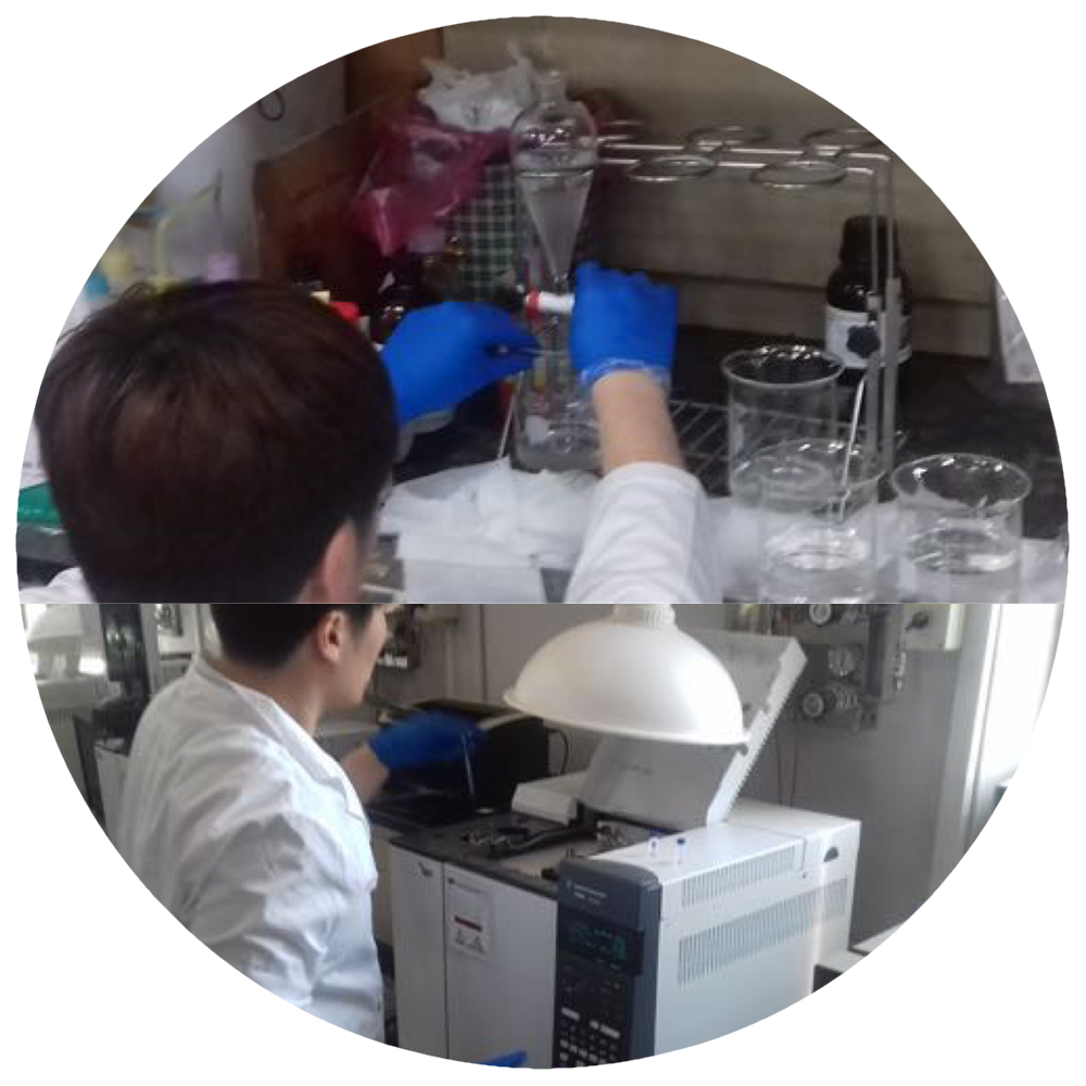 lab.png