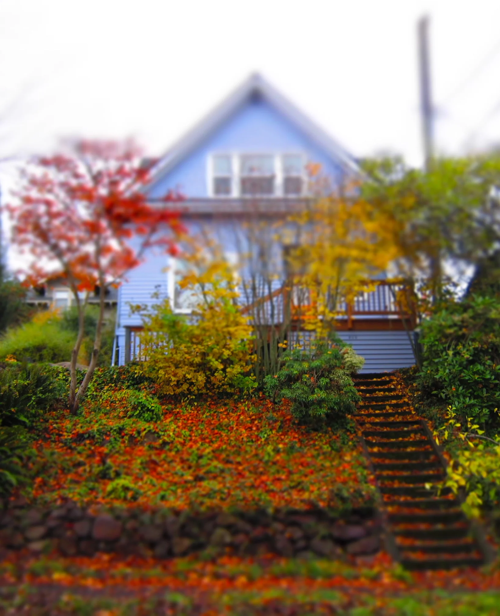 Image is property of the homeowner who has given Rent Guru permission to use it here. 