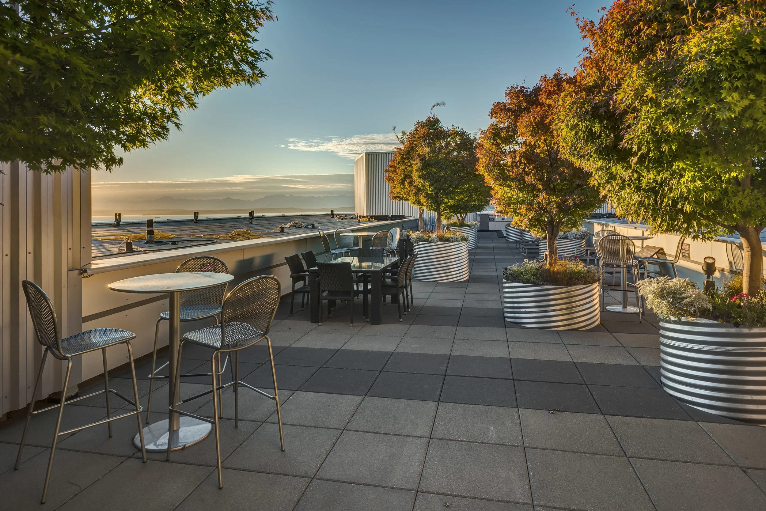 I wouldn't usually lead with a rooftop view but look at this. Seriously. 