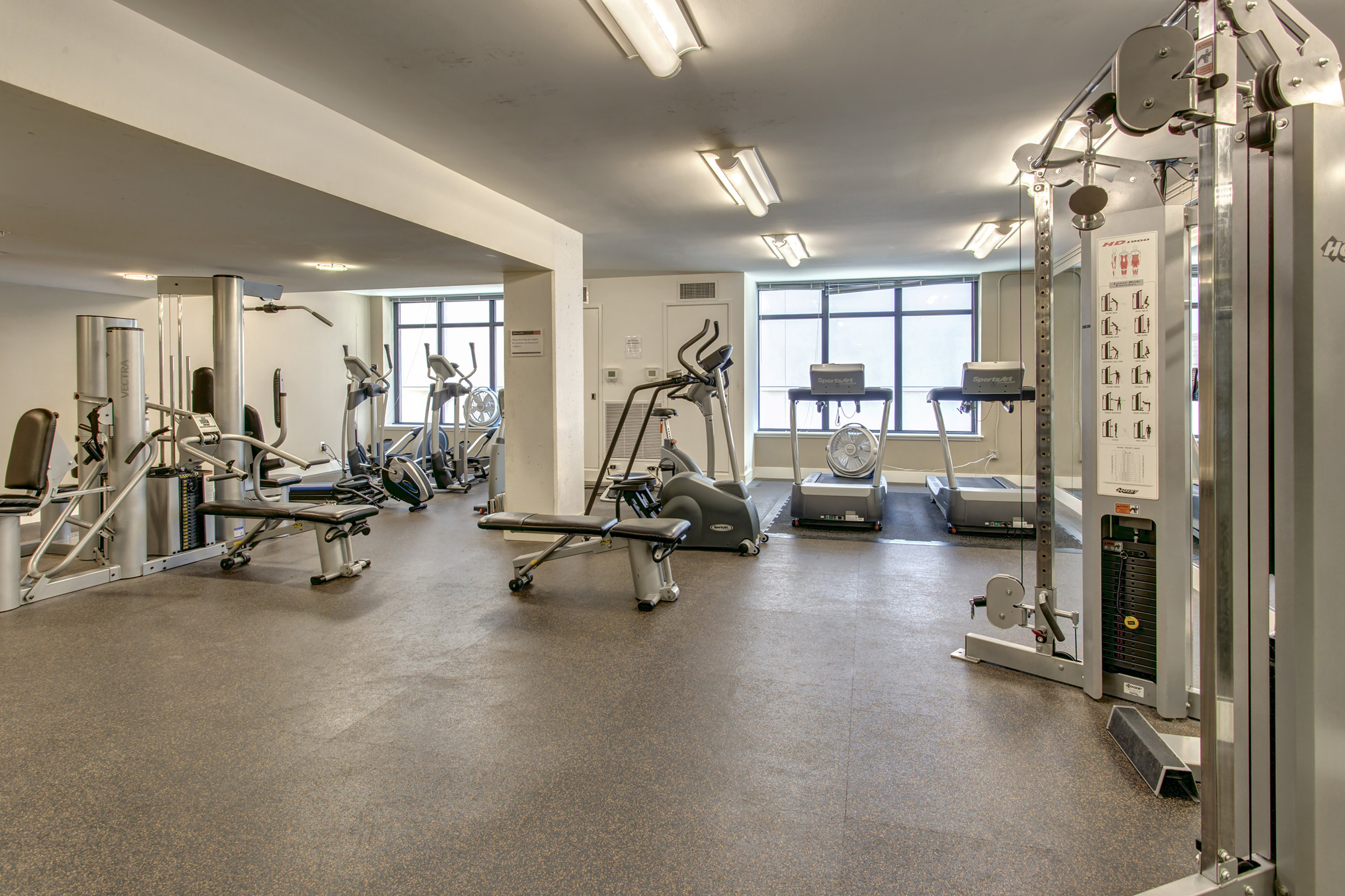 Gym! There's a gym! Lift them gym things. 