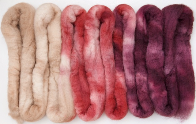 Cranberry Ombre 1.jpg