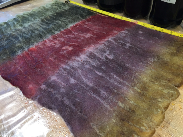 Painting BFL roving