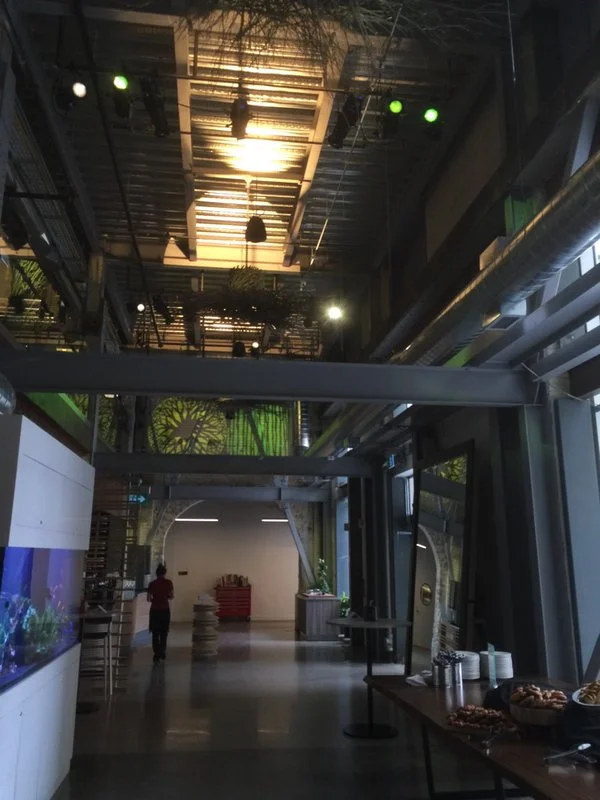 GOOGLE ROOTBALLS 012616.jpg