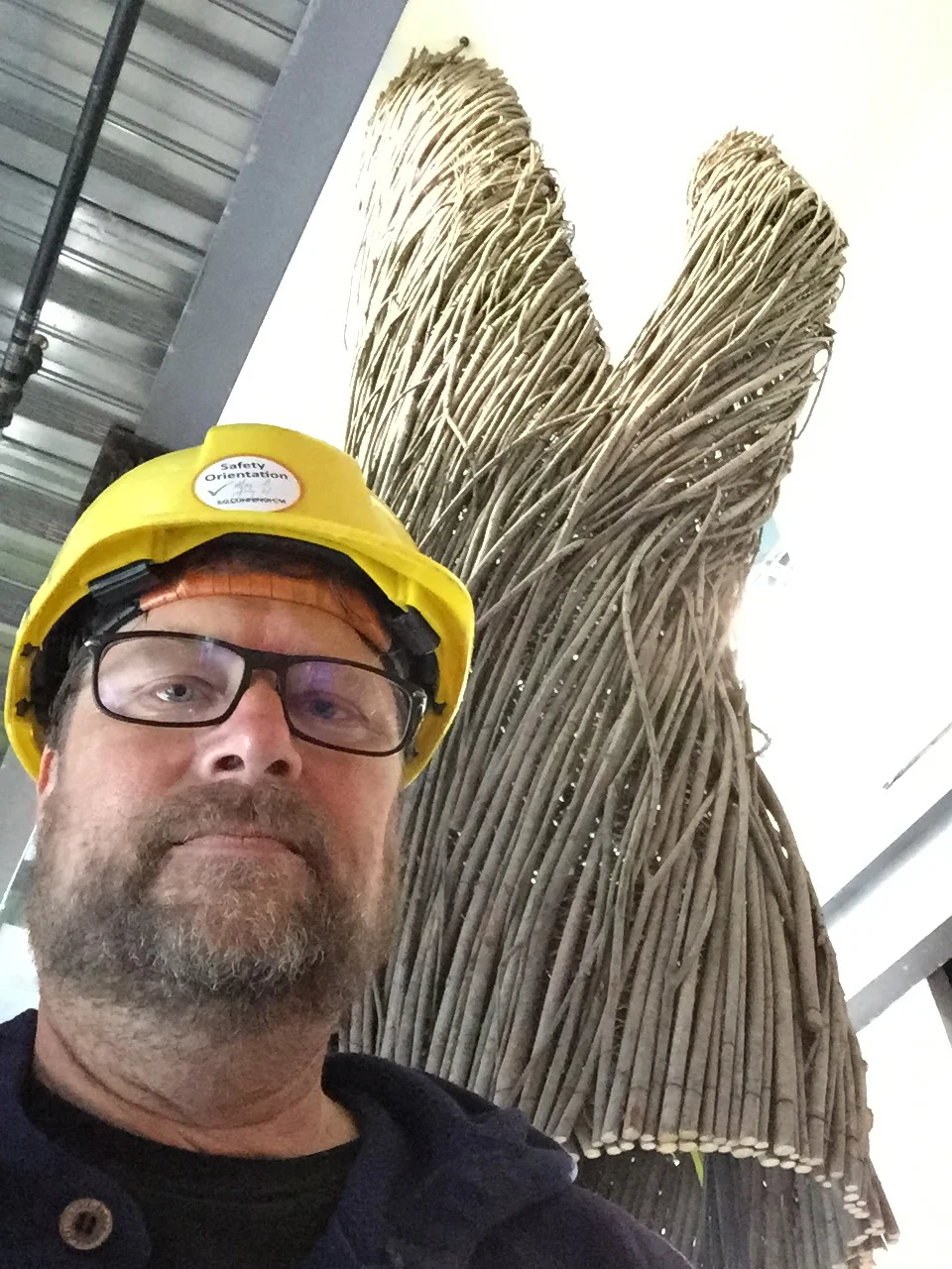 me and google tree.jpg