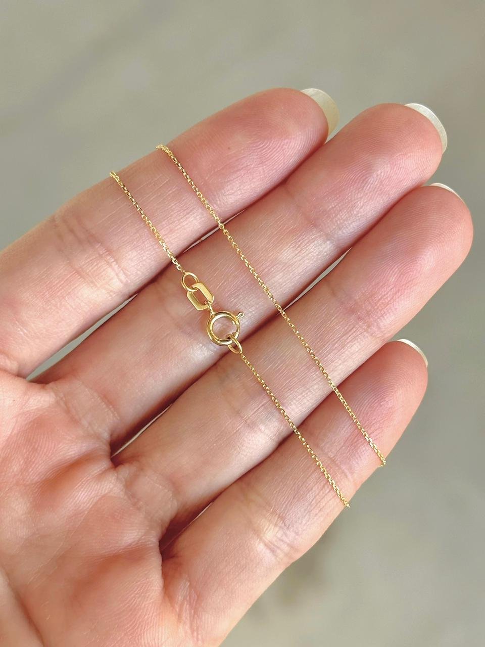 WhatsApp Image 2026-02-19 at 3.30.03 PM.jpeg