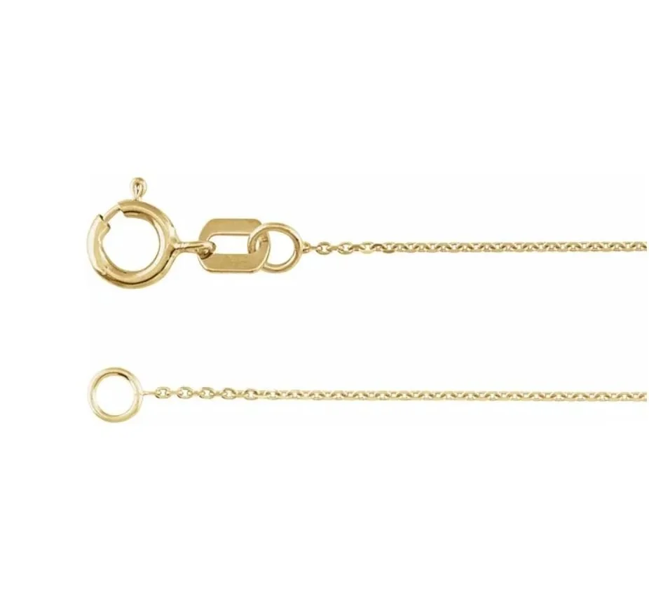 WhatsApp Image 2026-02-19 at 3.27.09 PM (1).jpeg