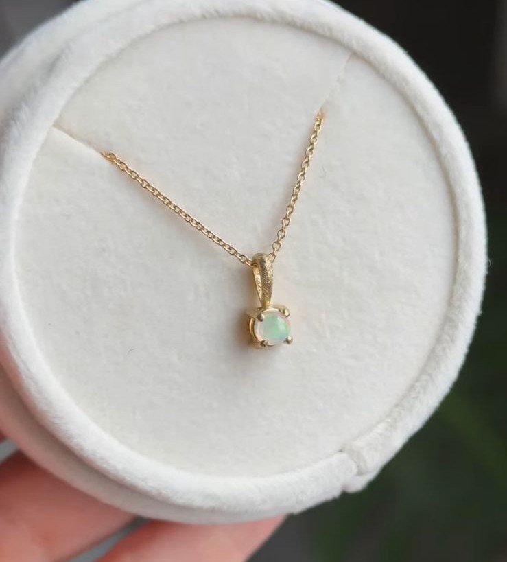 WhatsApp Image 2025-11-05 at 1.03.48 PM (5).jpeg