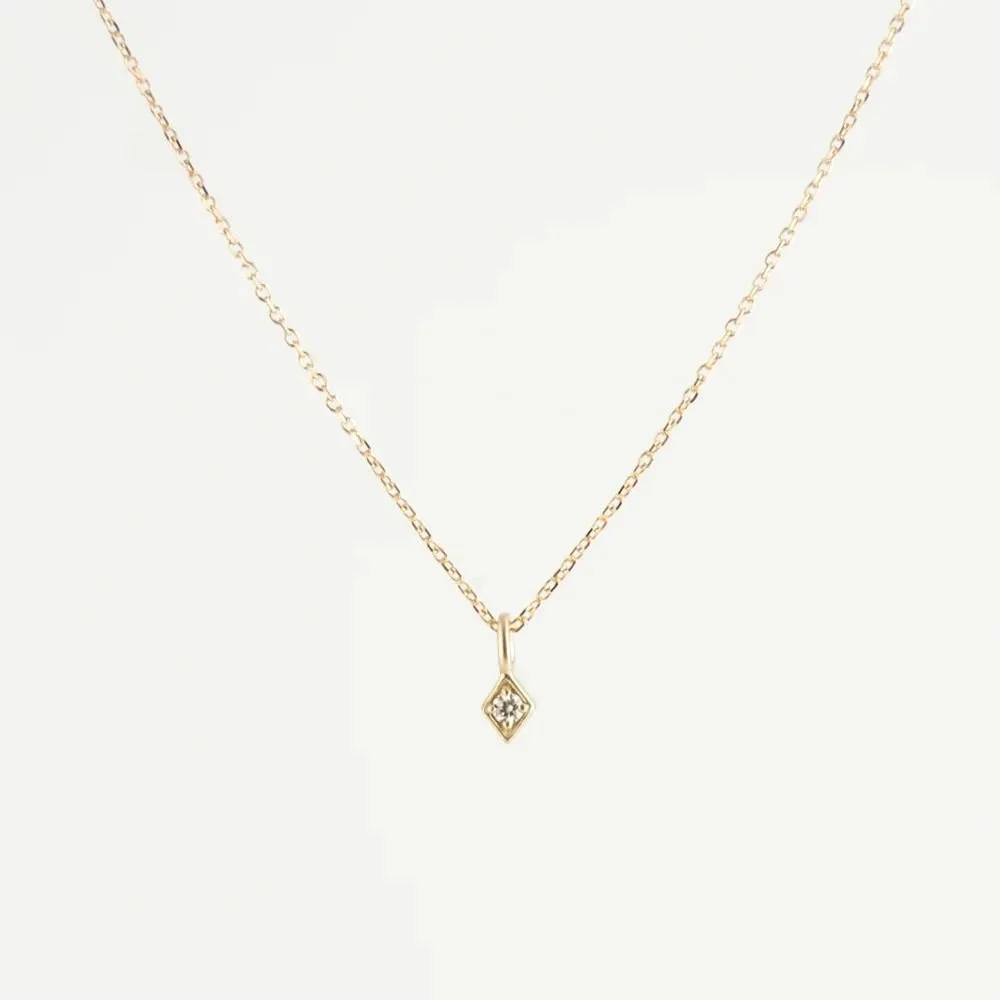 WhatsApp Image 2025-10-15 at 12.39.29 PM.jpeg