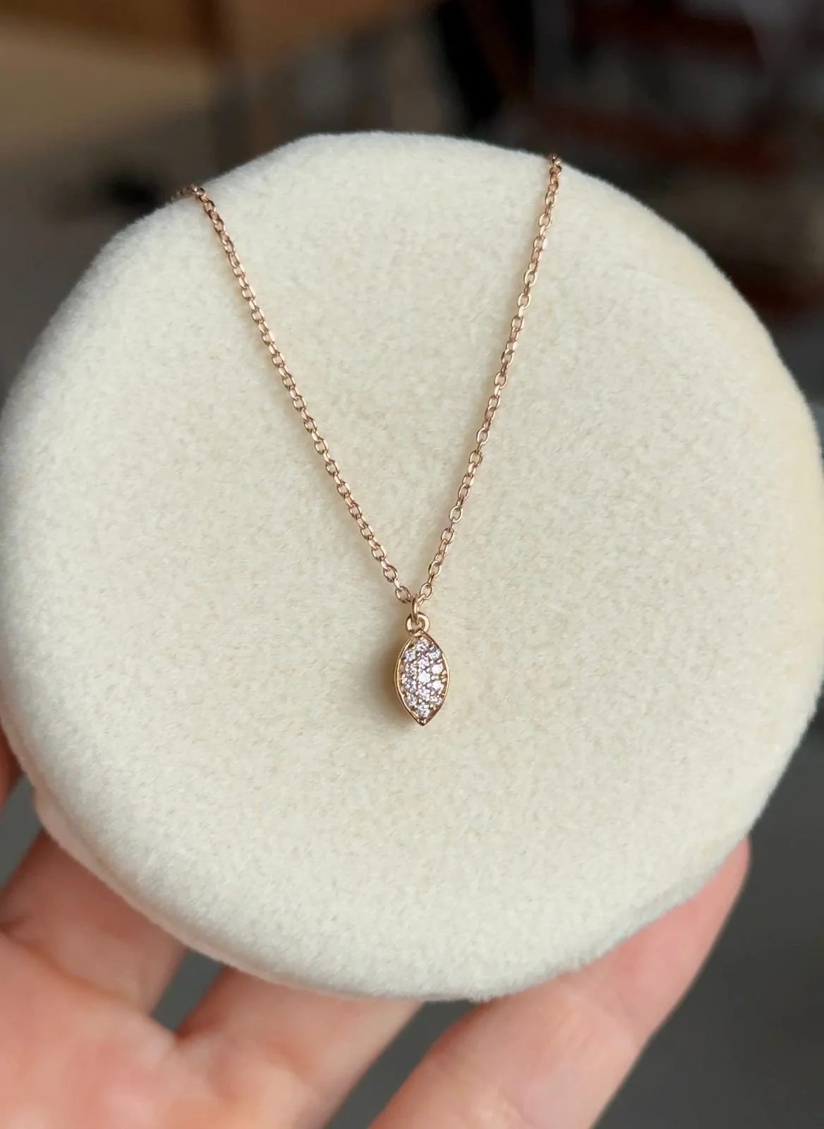 WhatsApp Image 2025-11-19 at 2.39.35 PM.jpeg